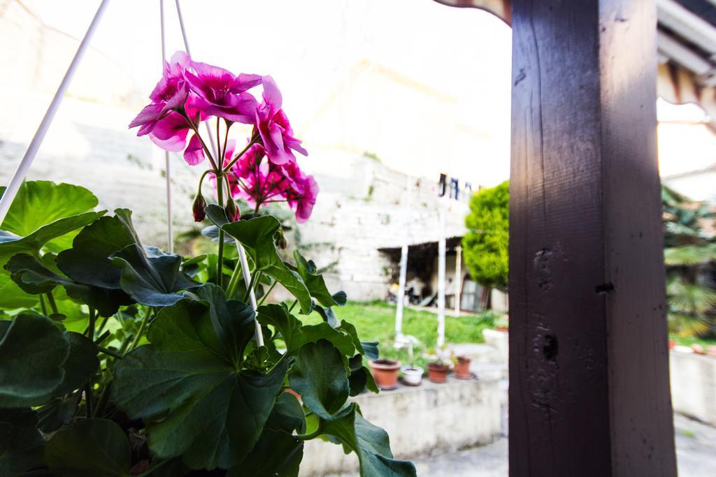 Guesthouse Natalija Pula Exterior foto